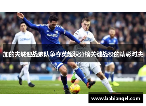 加的夫城迎战狼队争夺英超积分榜关键战役的精彩对决